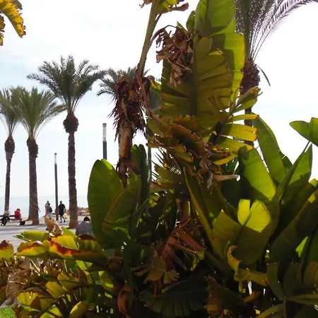 Apartamento Moriones B A 150m Del Mar En Centro De Ciudad Torrevieja